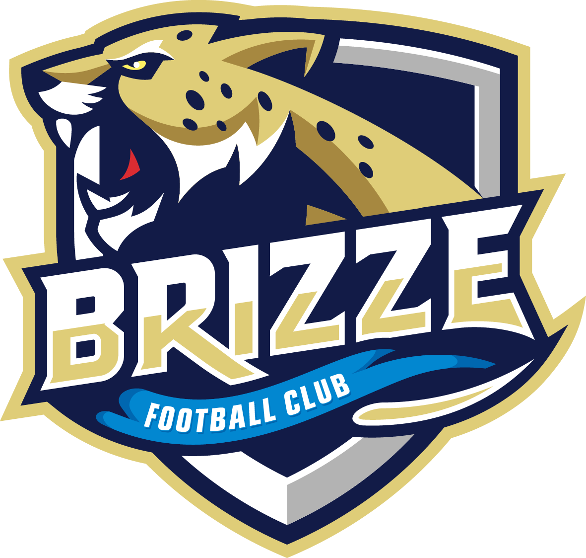 Brizze FC